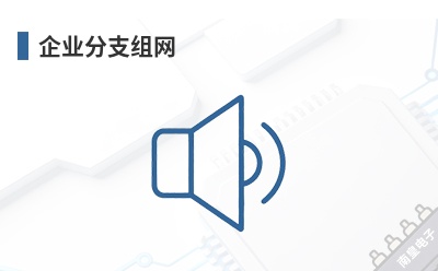 ��ҵ��֧����-Peplink��Ʒ��;