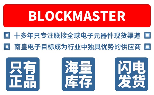 BlockMaster��˾ (BlockMaster Electronics)
