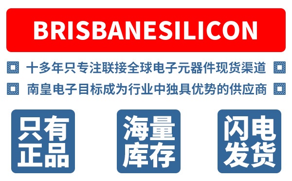 BrisbaneSilicon��˾