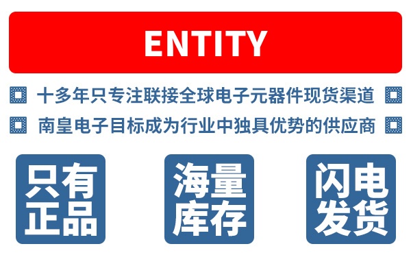 ENTITY ELETTRONICA��˾