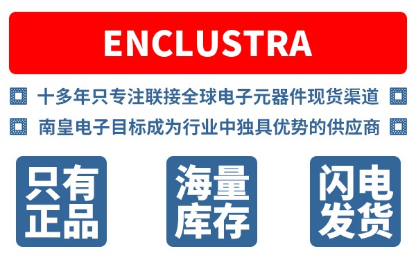 Enclustra��˾ (Enclustra FPGA Solutions)