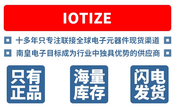 IoTize��˾