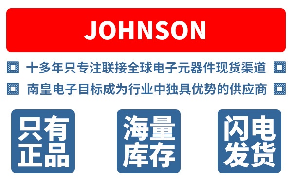 Johnson��˾ (Johnson Electric)