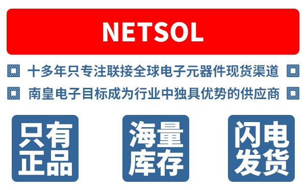 Netsol��˾