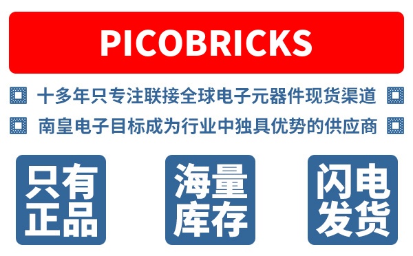 PicoBricks��˾