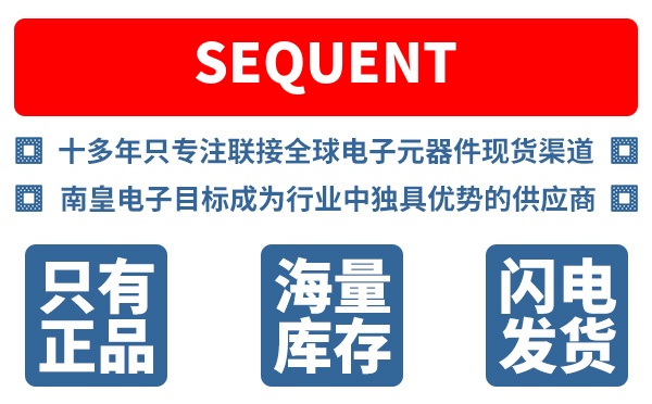 SEQUENT��˾ (Sequent Microsystems)