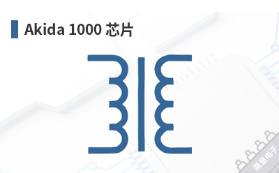 Akida 1000 оƬ-Brainchip��Ʒ