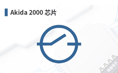 Akida 2000 оƬ-Brainchip��Ʒ