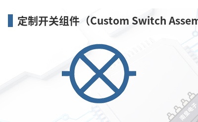 ���ƿ��������Custom Switch Assemblies��-CW Industries��Ʒ
