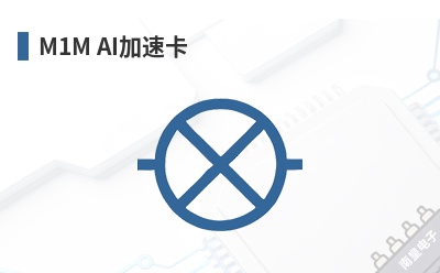 M1M AI���ٿ�-DEEPX��Ʒ