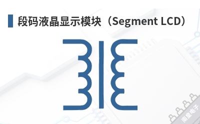 ����Һ����ʾģ�飨Segment LCD��-Display Visions��Ʒ