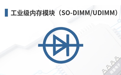 ��ҵ���ڴ�ģ�飨SO-DIMM/UDIMM��-Insignis��Ʒ