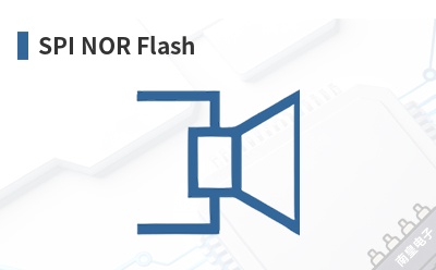 SPI NOR Flash-Insignis��Ʒ