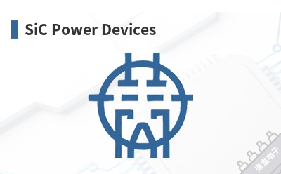 SiC Power Devices-LEI Indias��Ʒ