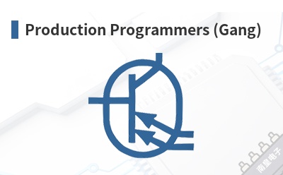 Production Programmers (Gang)-Logical Systems��Ʒ