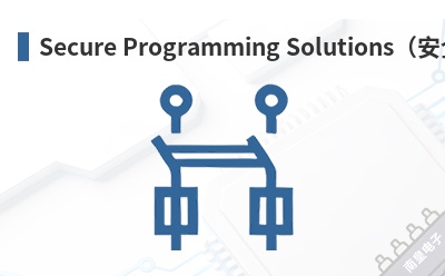 Secure Programming Solutions����ȫ��̷�����-Phyton��Ʒ