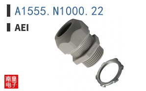 A1555.N1000.22|AEI