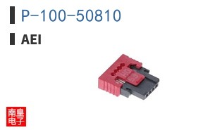 P-100-50810|AEI