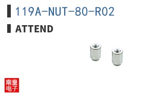 119A-NUT-80-R02|ATTEND