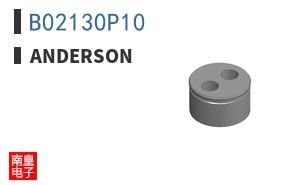 B02130P10|Anderson