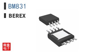 BM831|BeRex
