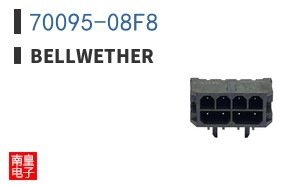 70095-08F8|BellWether