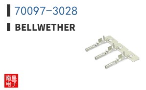 70097-3028|BellWether