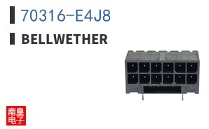 70316-E4J8|BellWether