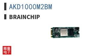 AKD1000M2BM|Brainchip