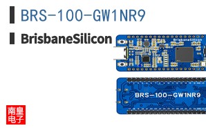 BRS-100-GW1NR9|BrisbaneSilicon