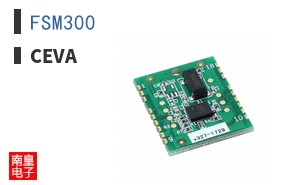FSM300|CEVA