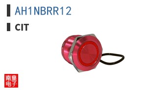 AH1NBRR12|CIT