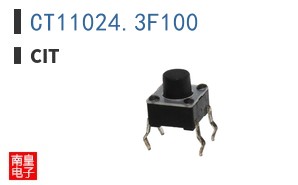 CT11024.3F100|CIT