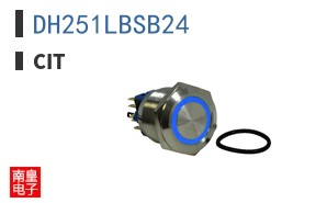 DH251LBSB24|CIT