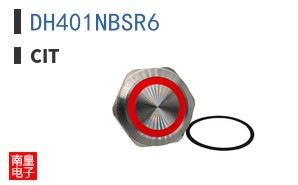 DH401NBSR6|CIT