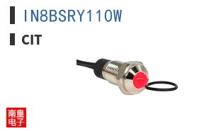 IN8BSRY110W|CIT