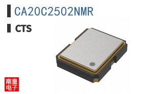 CA20C2502NMR|CTS