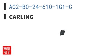 AC2-B0-24-610-1G1-C|Carling