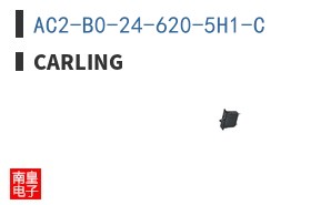 AC2-B0-24-620-5H1-C|Carling