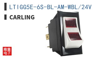 LTIGG5E-6S-BL-AM-WBL/24V|Carling