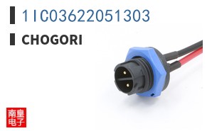 1IC03622051303|Chogori