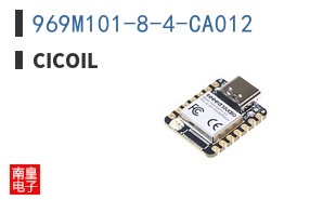 969M101-8-4-CA012|Cicoil