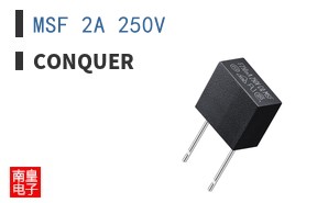 MSF 2A 250V|Conquer