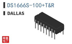 DS1666S-100+T&R|Dallas
