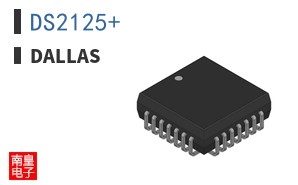 DS2125+|Dallas