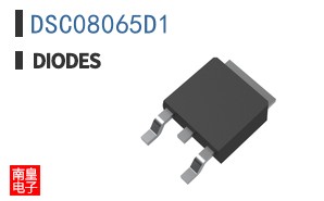 DSC08065D1|Diodes