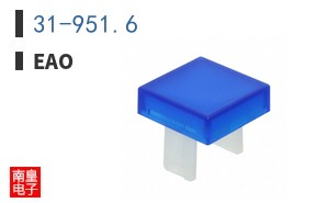 31-951.6|EAO