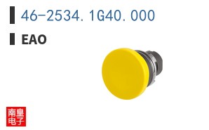 46-2534.1G40.000|EAO