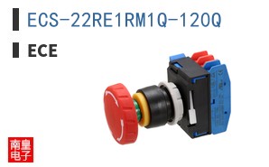 ECS-22RE1RM1Q-120Q|ECE