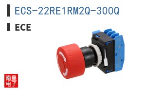 ECS-22RE1RM2Q-300Q|ECE
